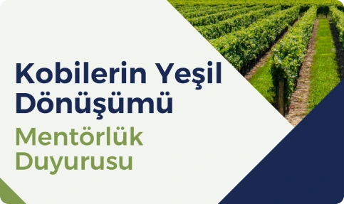 KOBİ'lere Yeşil Dönüşümde Destek!